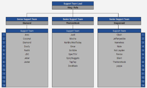 Support Team Statistics